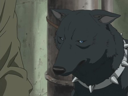 Блю волчий дождь