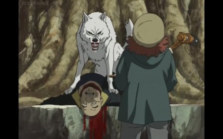 Волчий дождь киба