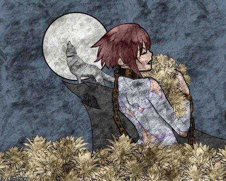 Чеза волчий дождь