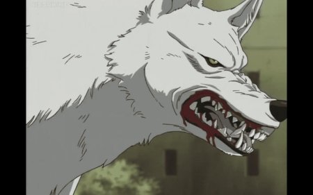 Аниме волчий дождь киба волк