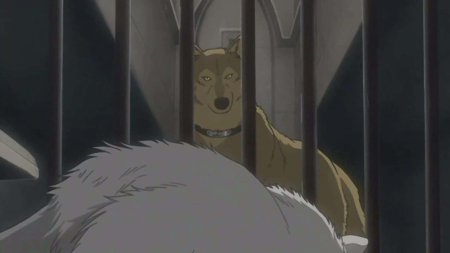 Волчий дождь хиге волк