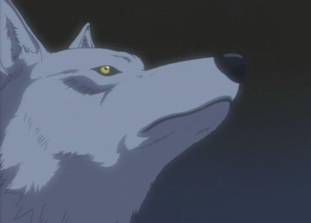 Аниме волчий дождь киба волк