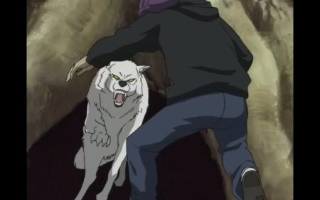 Киба волчий дождь