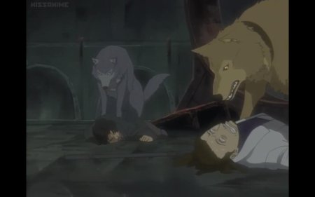 Волчий дождь блю и хиге