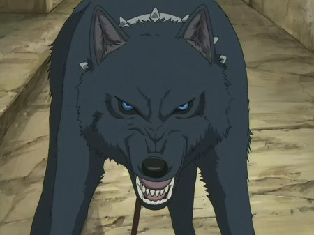 Волчий дождь аниме блю волк