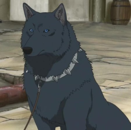 Волчий дождь черный волк