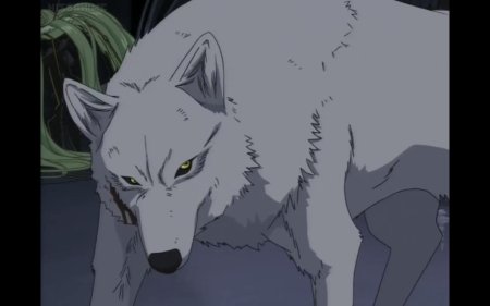 Аниме волчий дождь киба волк