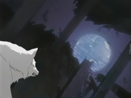 Аниме волчий дождь белый волк