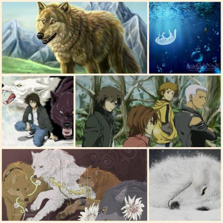 Аниме волчий дождь хиге и киба