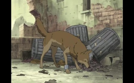 Волчий дождь тобоэ