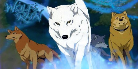 Аниме волчий дождь