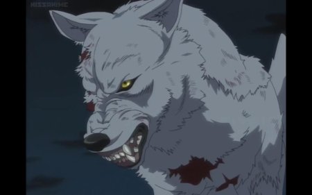 Аниме волчий дождь киба волк