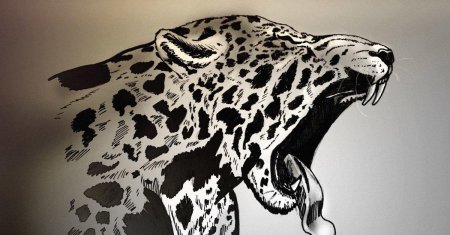 Леопард карандашом