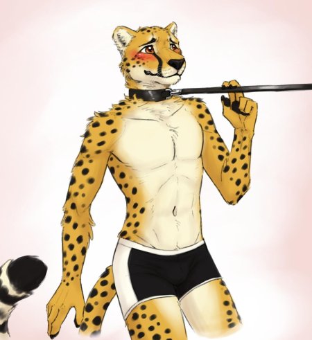 Фурри гепард