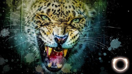 Леопард оскал