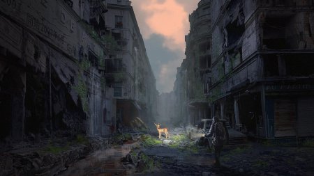 Постапокалипсис лес