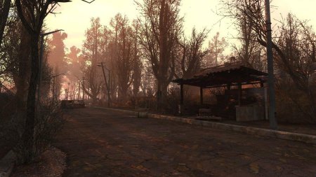 Сталкер рыжий лес локация
