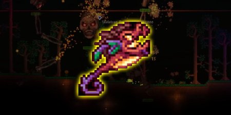 Бетси террария