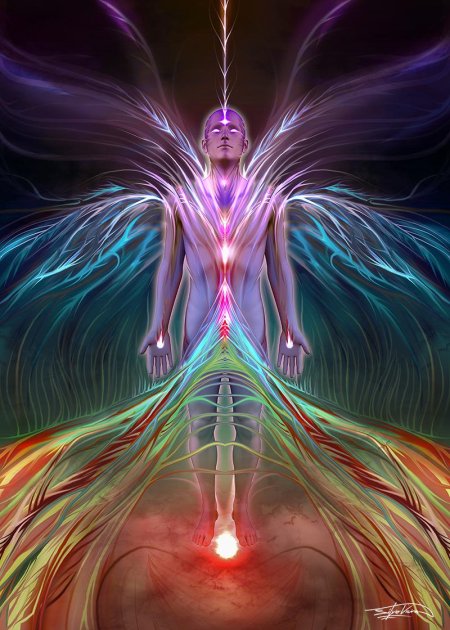 Многомерные существа