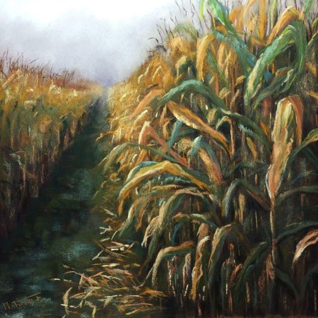 Кукурузное поле