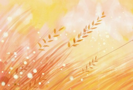 Фон с колосьями