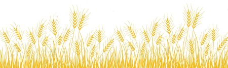 Пшеница векторная