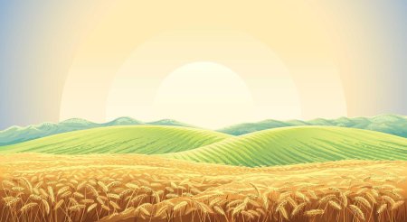 Поле пшеничное