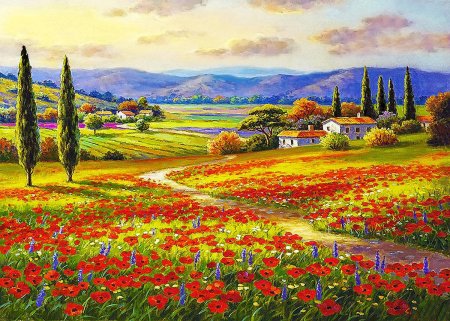 Тоскана италия маковые поля