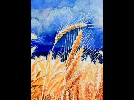 Аркадий олейник картины пшеничное поле