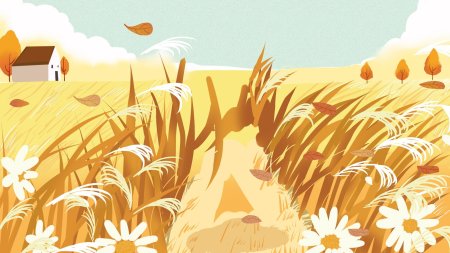 Поле рисунок