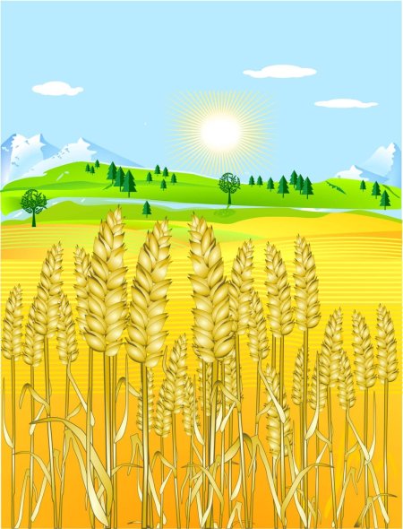 Мультяшное поле