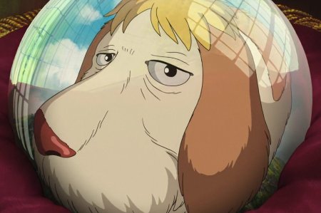 Хаяо миядзаки ходячий замок собака