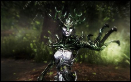 The elder scrolls спригган