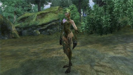 Моренн дриада ведьмак