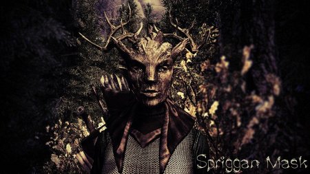 Скайрим броня сприггана