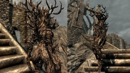 The elder scrolls спригган