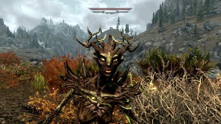 Скайрим спригган матрона