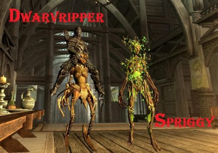 Спригганы скайрим арт