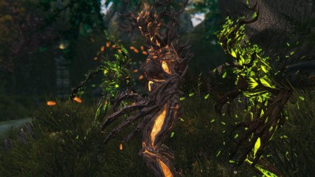 Скайрим спригган матрона