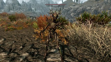 The elder scrolls спригган