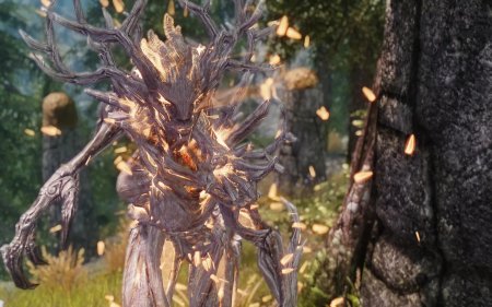 The elder scrolls спригган