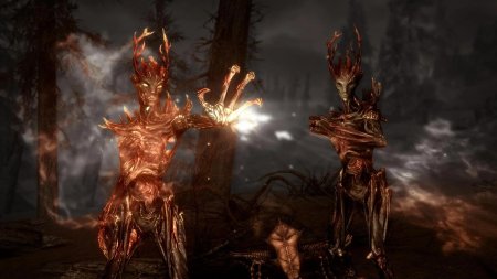 The elder scrolls спригган