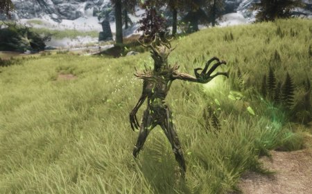 The elder scrolls спригган