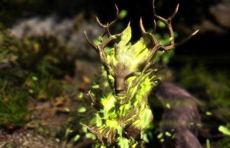 The elder scrolls спригган