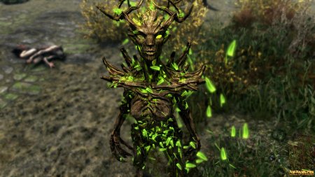 The elder scrolls спригган