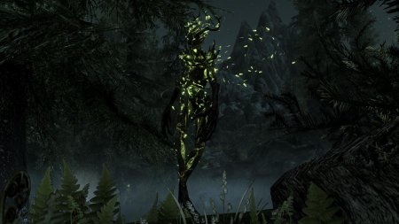 The elder scrolls спригган