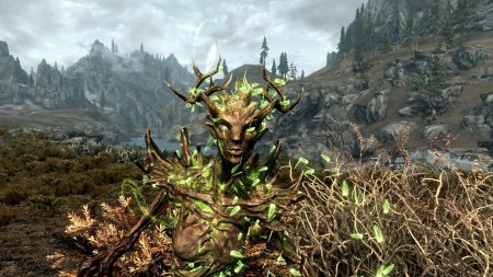 Скайрим спригган матрона