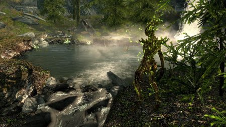 The elder scrolls спригган