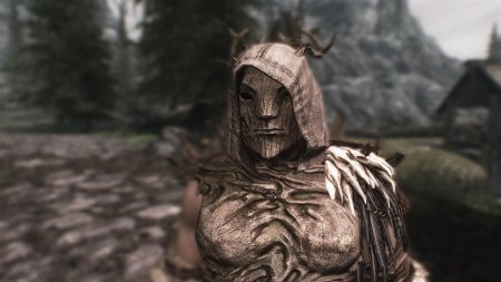 Скайрим броня сприггана