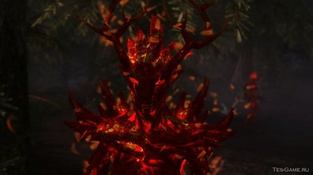 Живица сприггана скайрим